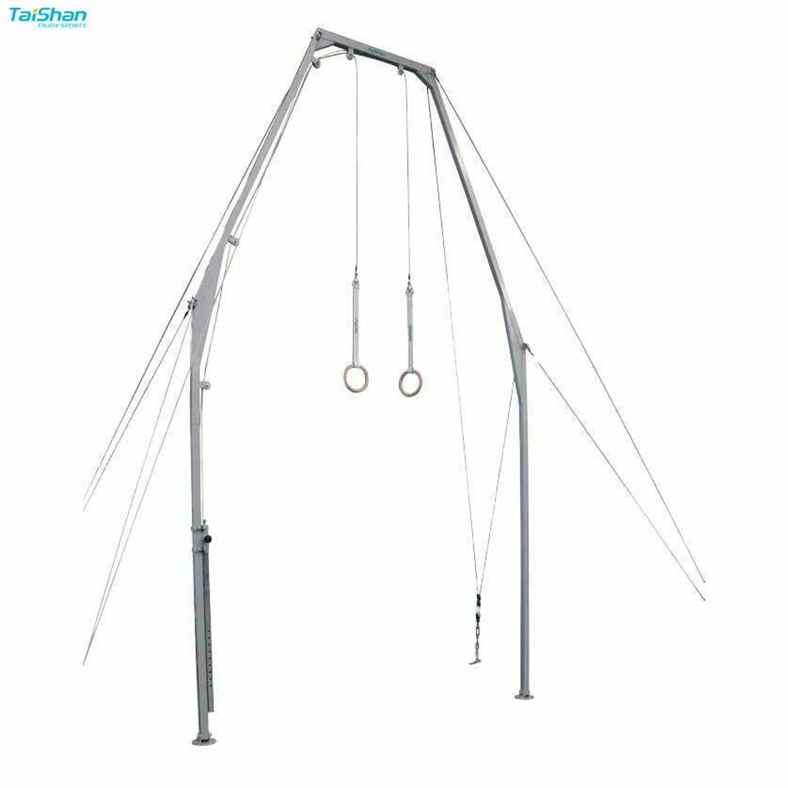 Taishan Training Gymnastics Rings