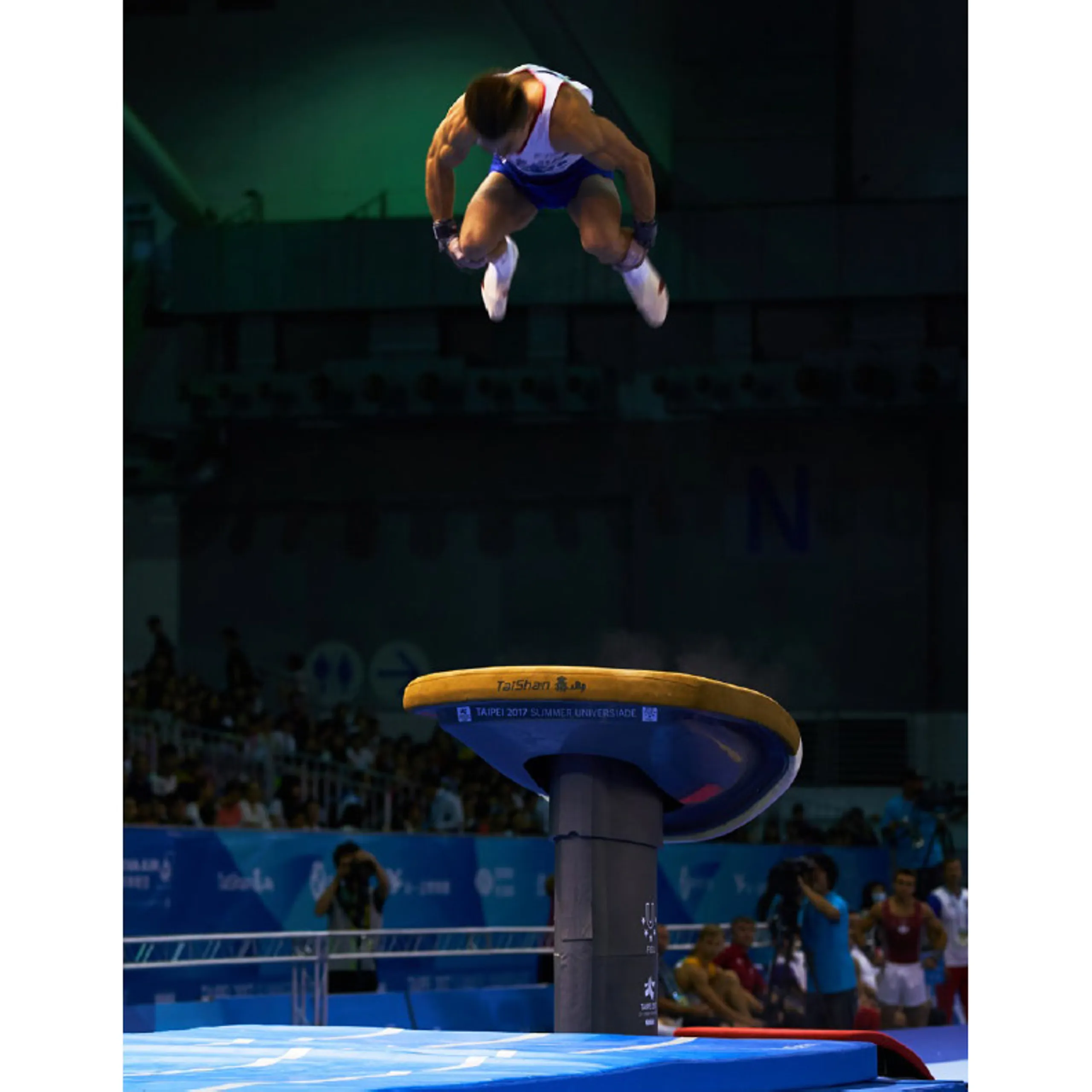 Pommel