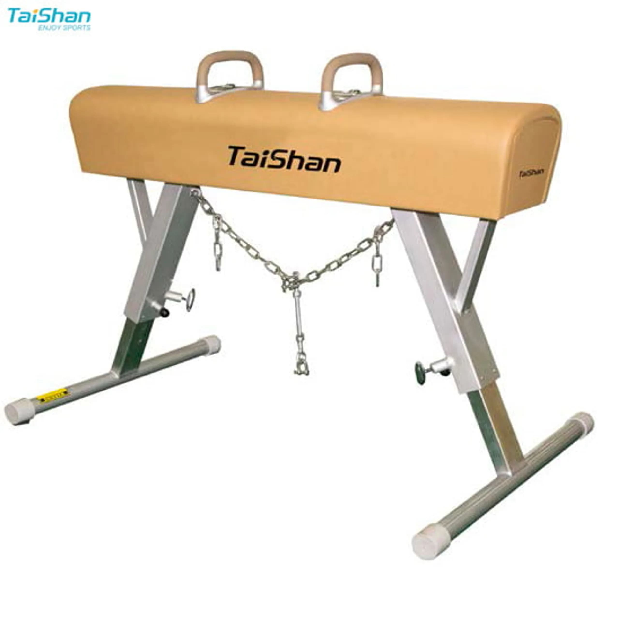 Training-Pommel-Horse&#8212;TQ2024&#8212;logo