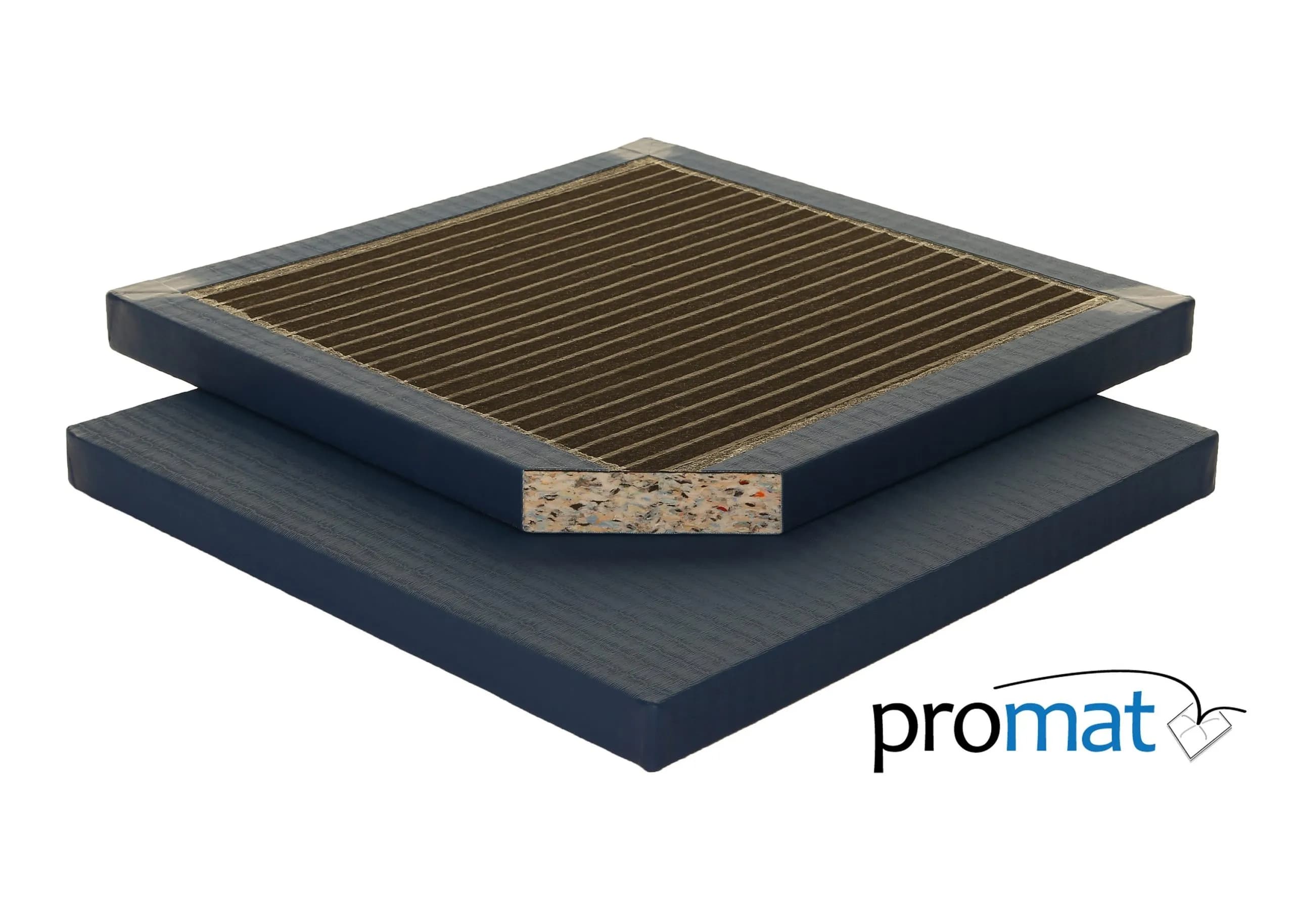 Club Judo Mat Blue web