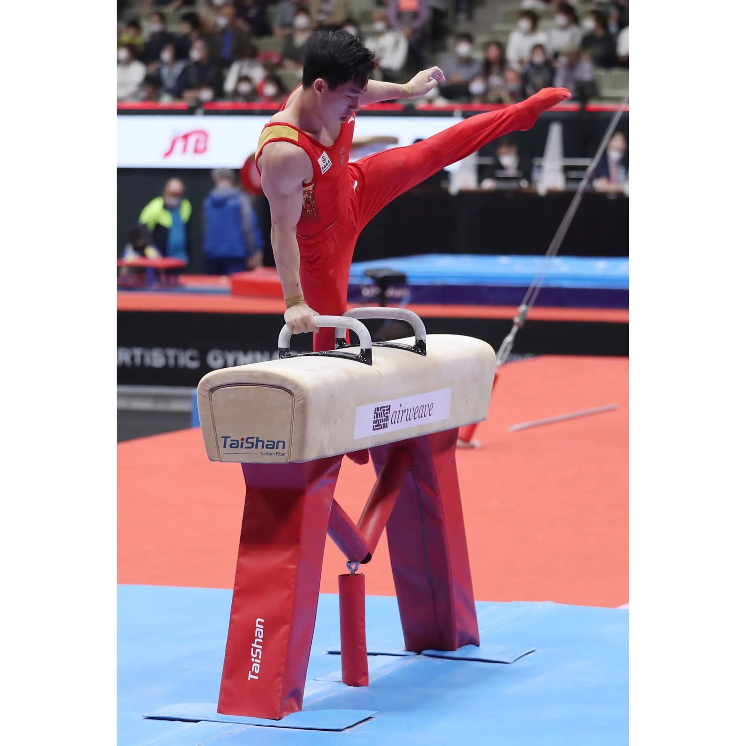 Pommel-Horse