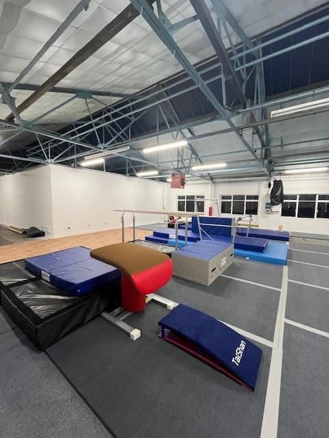 Red and brown vaulting table on a gray gymnastics floor with blue landing mats, a springboard labeled Taishan, and parallel bars in a training hall.